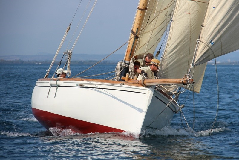 Cutter Sorella