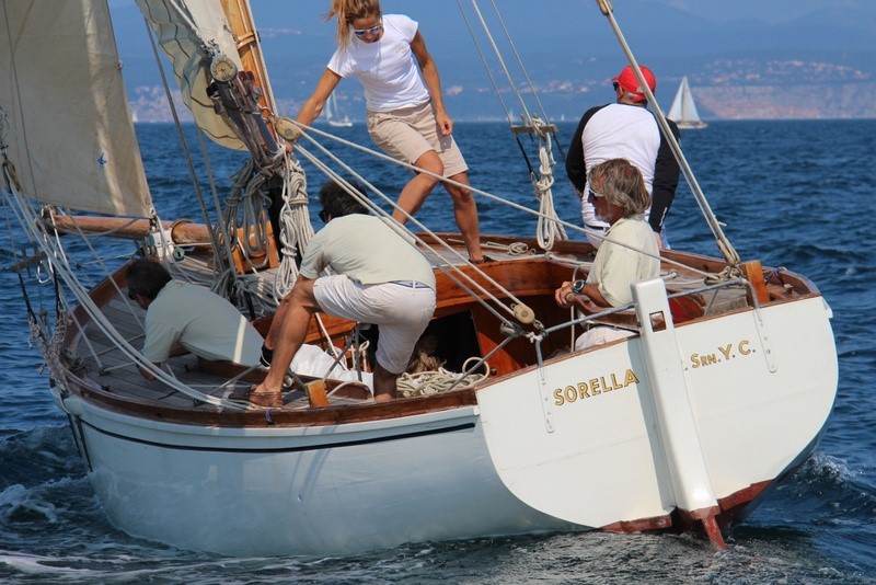 Cutter Sorella